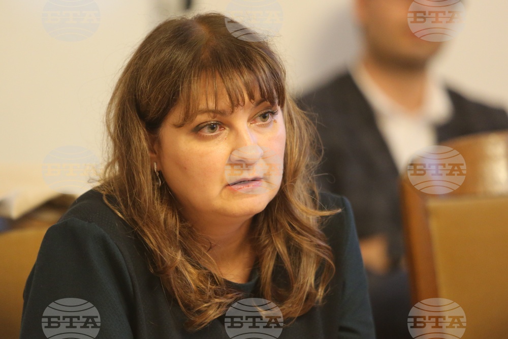 Парламент - Комисия по въпросите на Европейския съюз - заседание - Ваня Стойнева