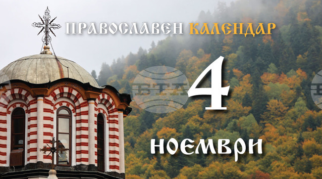 Честваме паметта на преподобния Йоаникий Велики