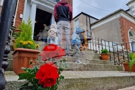 Ирландия - българско посолство - избори - гласуване 