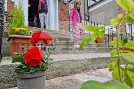 Ирландия - българско посолство - избори - гласуване 