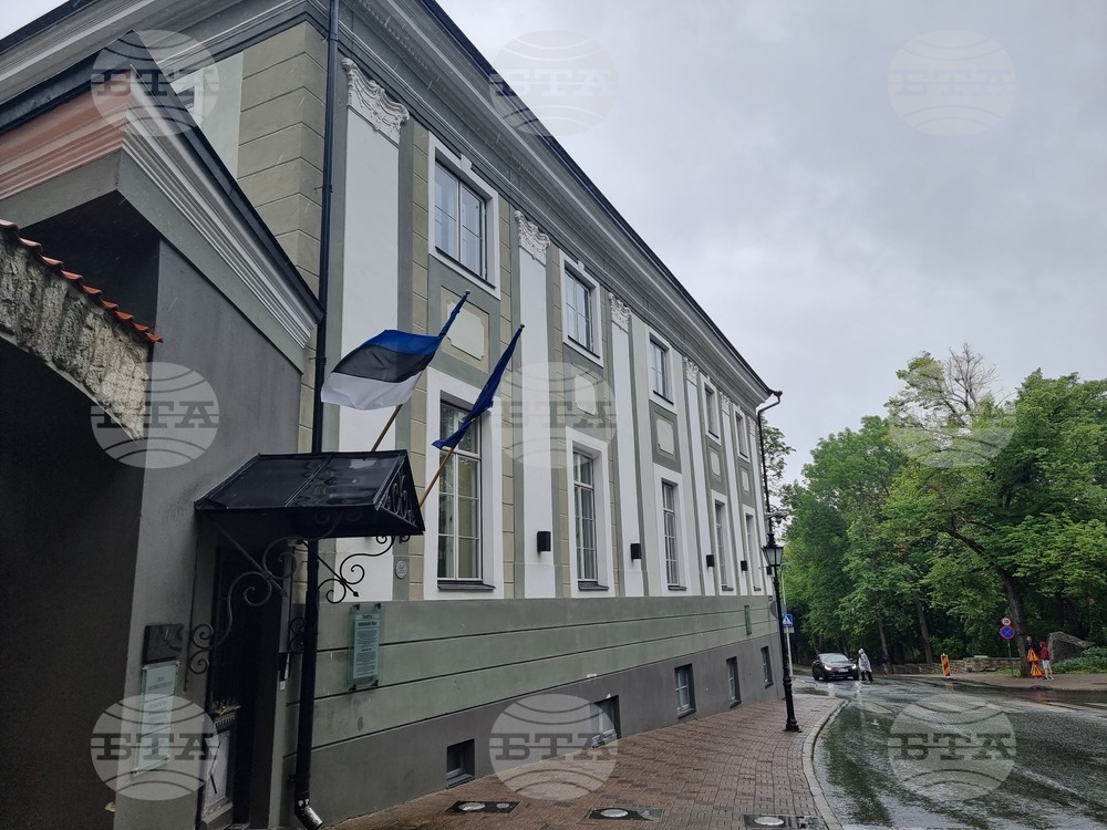 Естония - избори