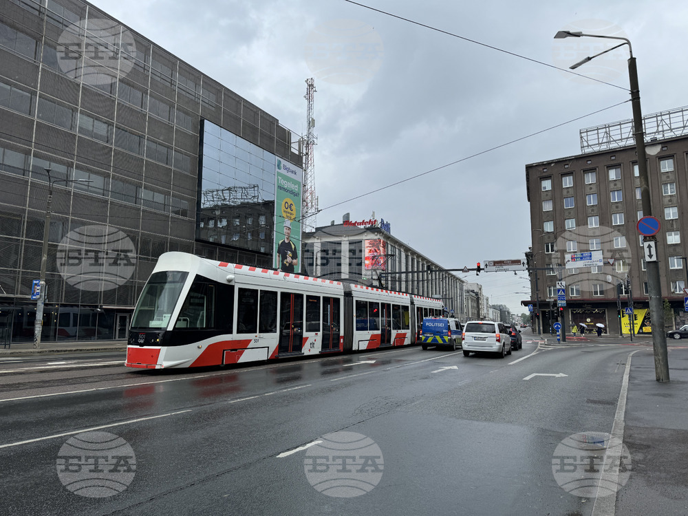 Естония - избори