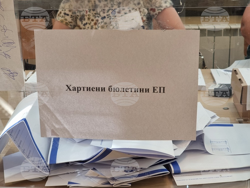Видин - избори за Народно събрание и Европейски парламент - гласуване