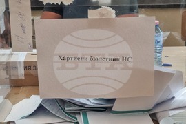 Видин - избори за Народно събрание и Европейски парламент - гласуване