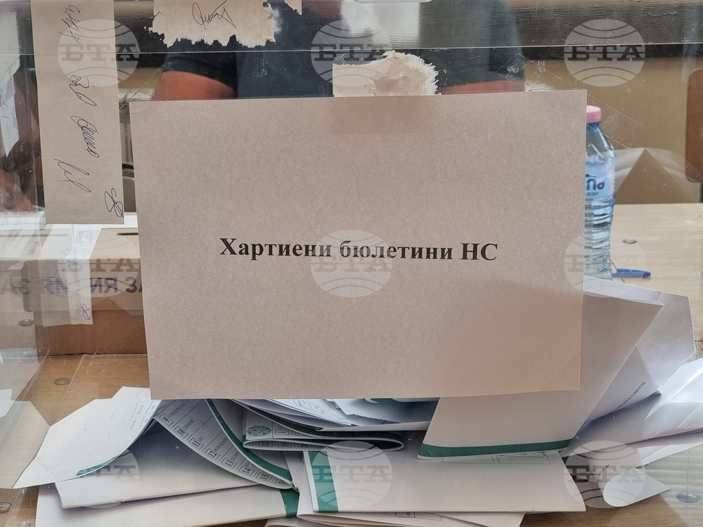 Видин - избори за Народно събрание и Европейски парламент - гласуване