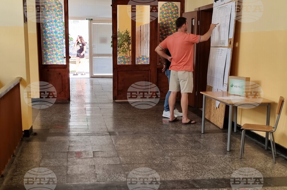 Видин - избори за Народно събрание и Европейски парламент - гласуване