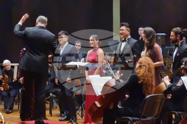 Видин - Симфониета - концерт