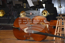 Видин - Симфониета - концерт