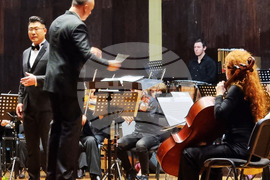 Видин - Симфониета - концерт