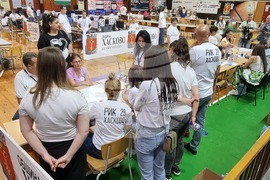 Хасково - РИК - протоколи