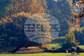 Есен в парка