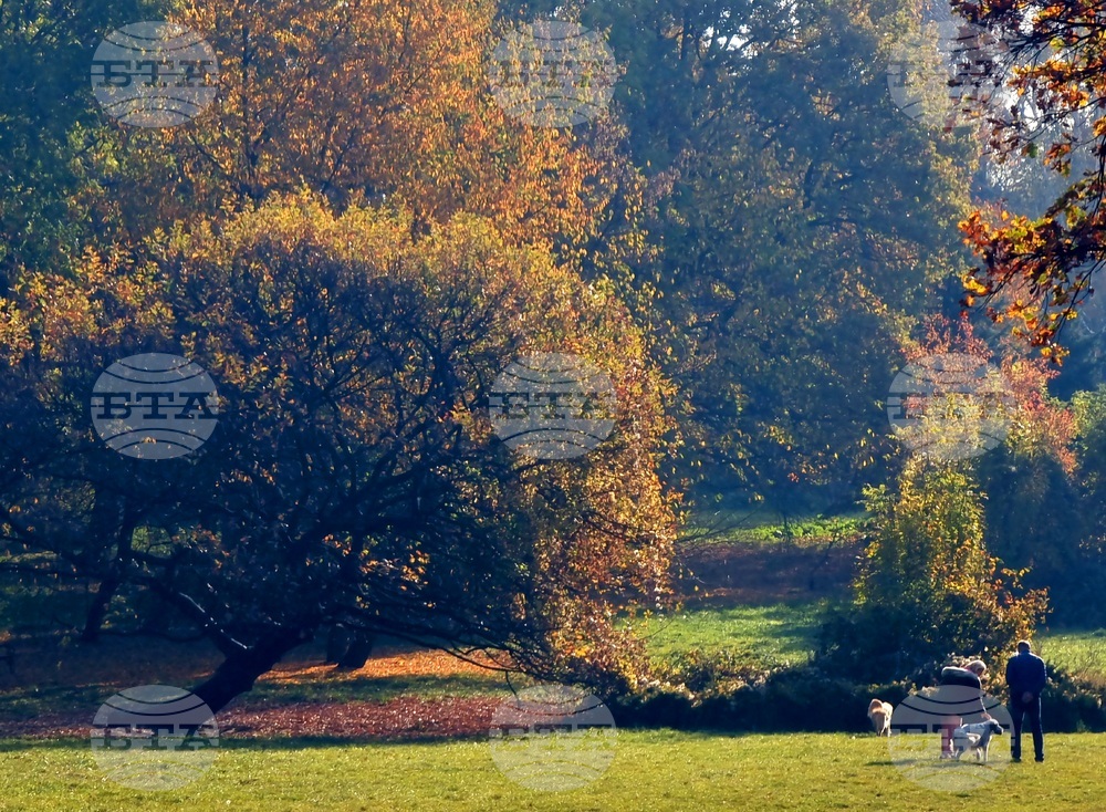 Есен в парка