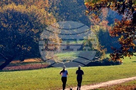 Есен в парка