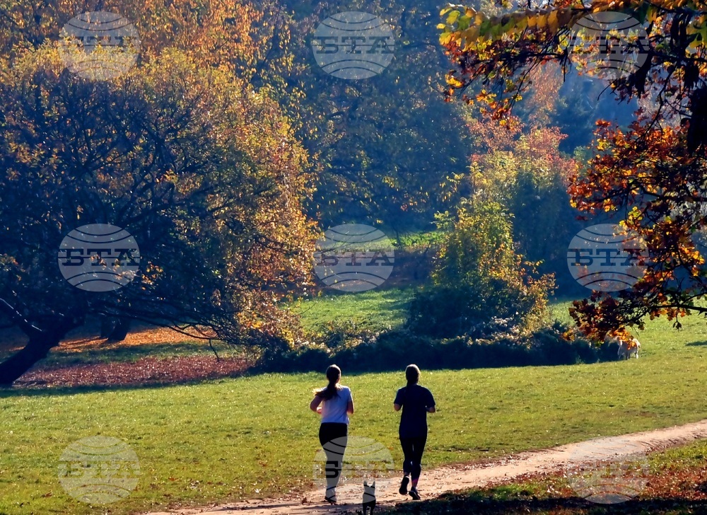 Есен в парка