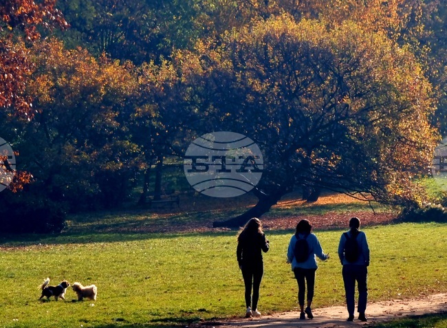 Есен в парка