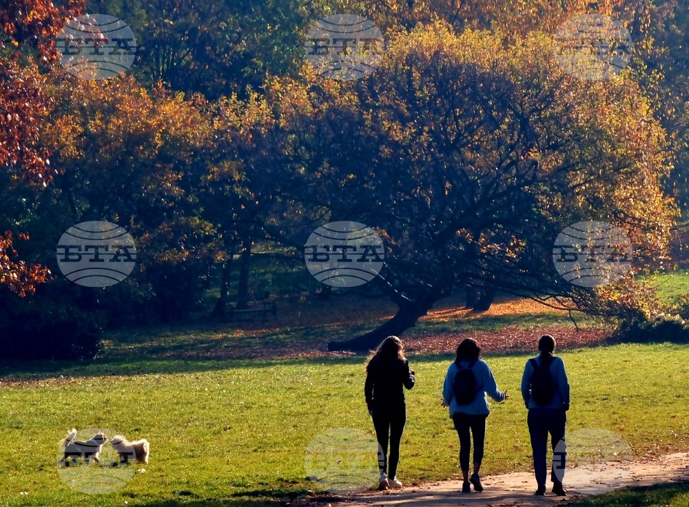 Есен в парка