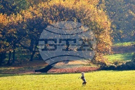 Есен в парка