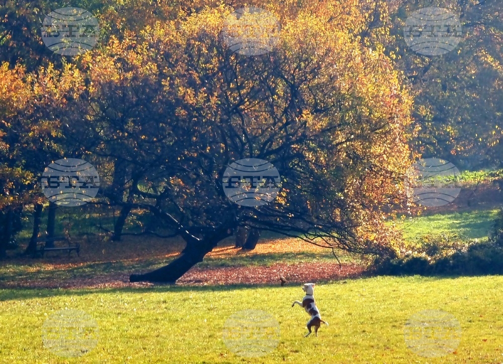 Есен в парка