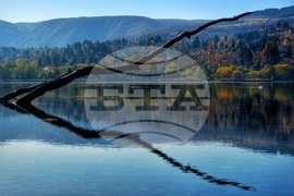 Панчарево  - природа - изглед