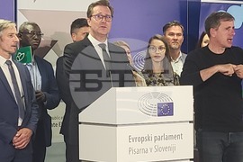 Словения - евроизбори - избирателна активност