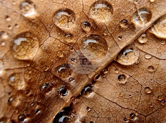 Прогноза за времето 