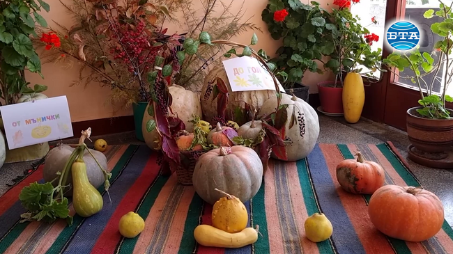 Празник на тиквата и дюлята събра любители на есенните плодове и зеленчуци в кубратското село Юпер