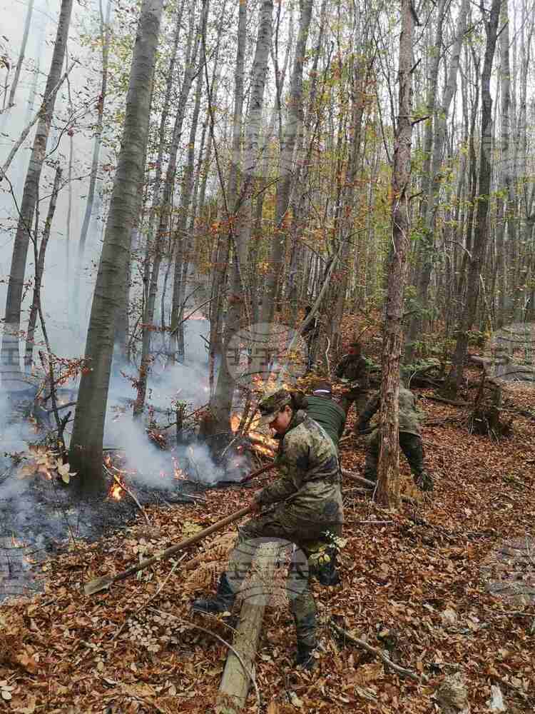Военнослужещи от Сухопътните войски помагат в потушаването на големия горски пожар в Родопите
