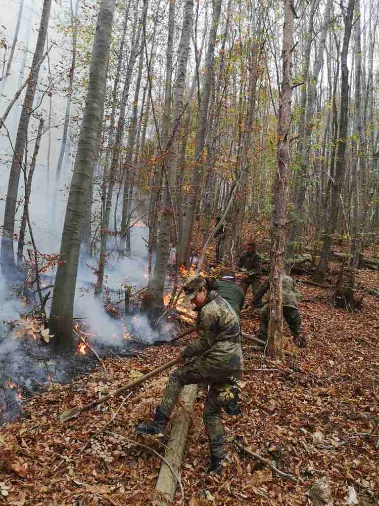 Военнослужещи от Сухопътните войски помагат в потушаването на големия горски пожар в Родопите
