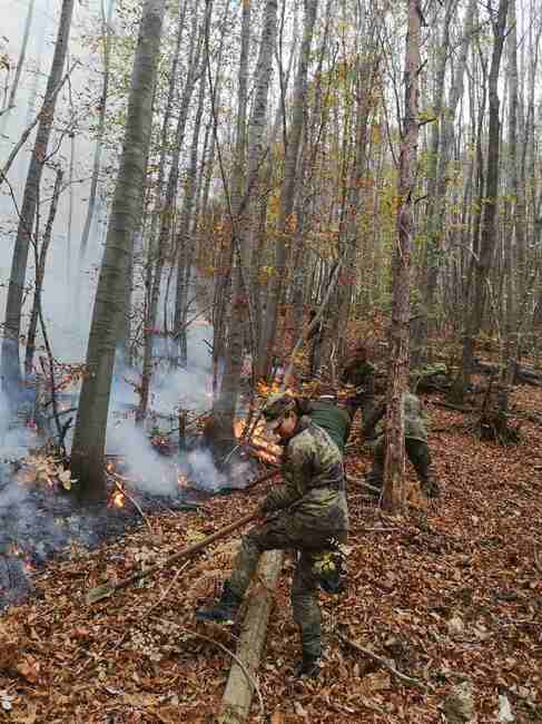 Военнослужещи от Сухопътните войски участват в действия за гасене на пожари в страната