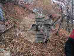 Снимка: Министерство на отбраната - горски пожар в Родопите