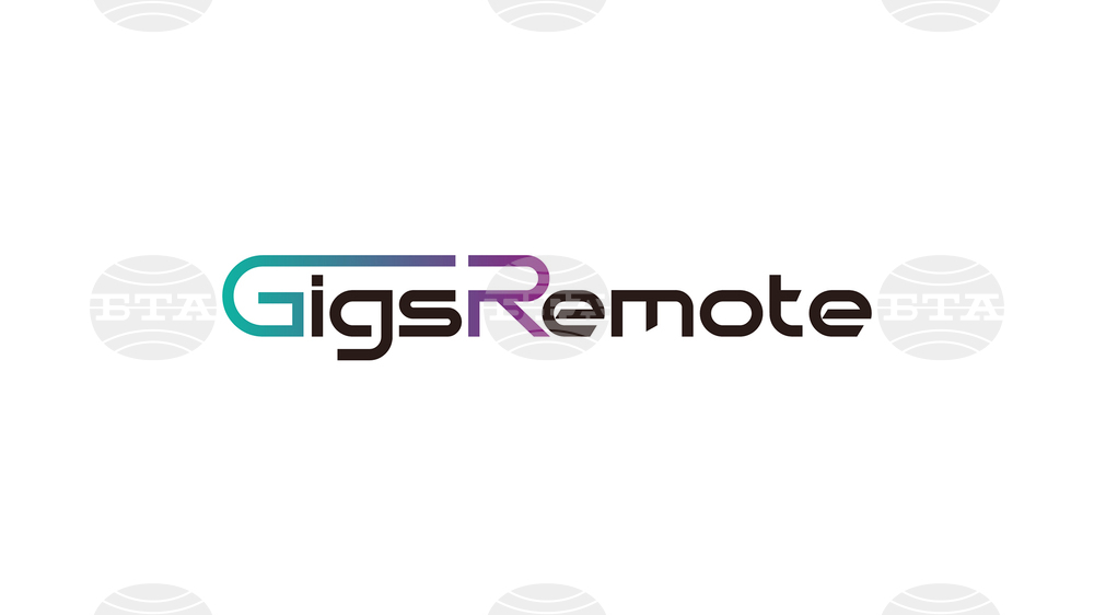 New Teleworking Platform for IT Specialists Is Launched