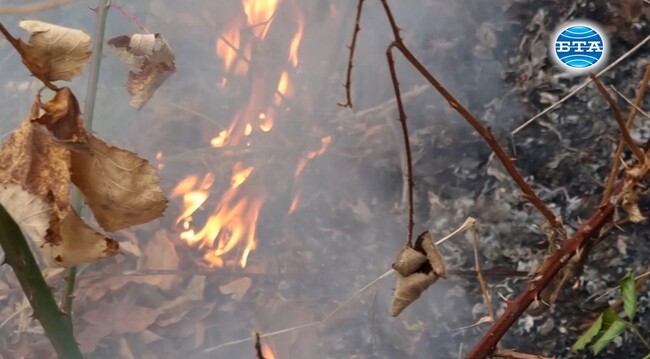 С тези усилия се надявам до няколко дни да приключим тук, коментира главен комисар Николай Николов след оглед на пожара на българо-гръцката граница