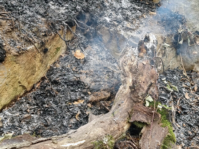 Овладян и локализиран е пожарът край кърджалийското село Дъждовница