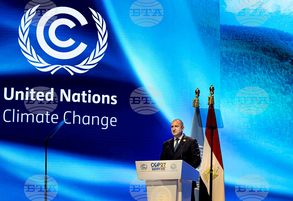 President Radev: Bulgaria Is Willing to Host COP29