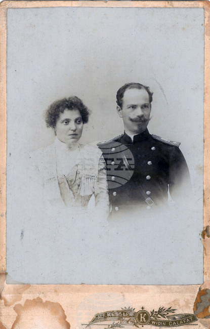 Видин - музей - дарение