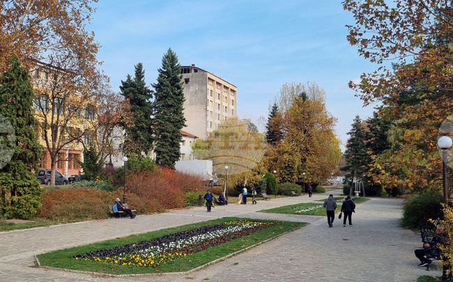 В област Търговище най-много свободни позиции за високоспециализирани кадри са обявени от работодатели в Поповско 