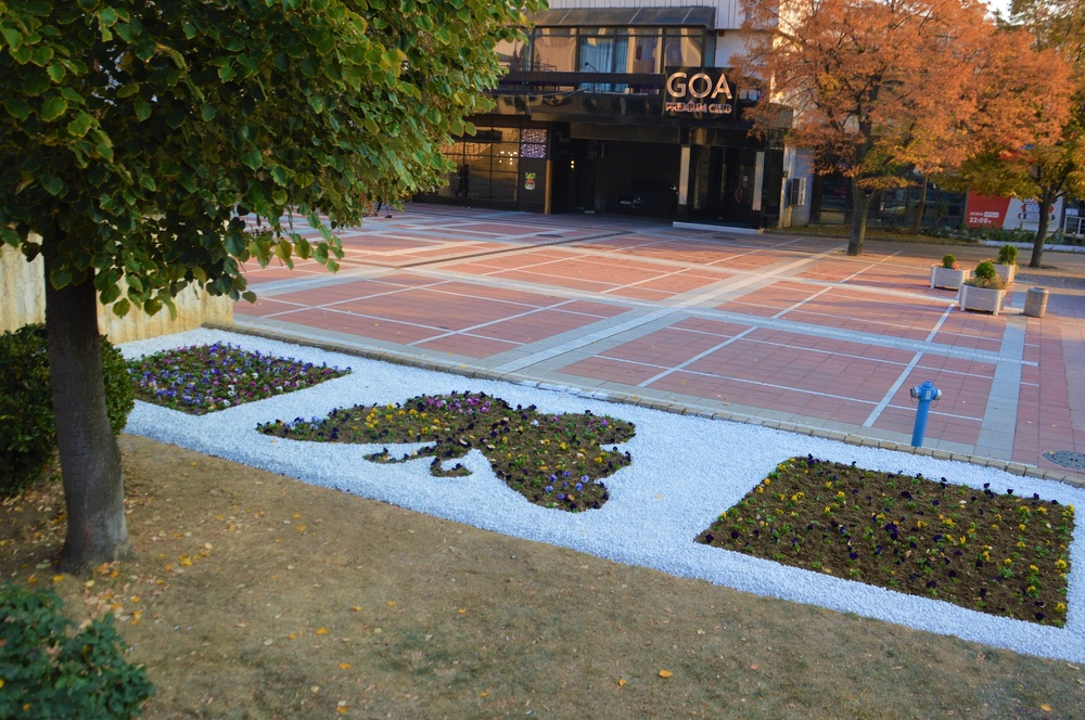 Пеперуда от живи цветя краси центъра на Благоевград