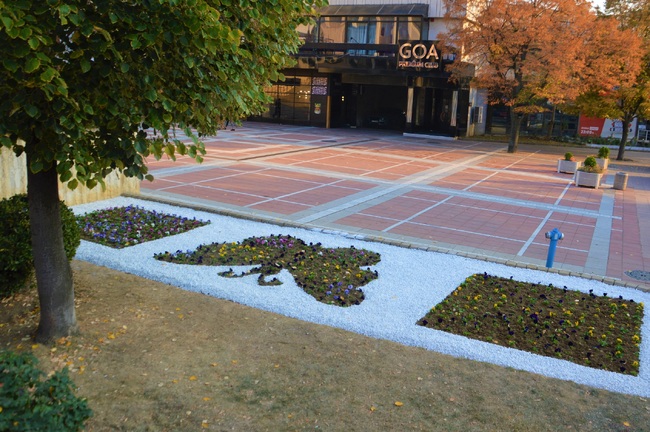 Пеперуда от живи цветя краси центъра на Благоевград