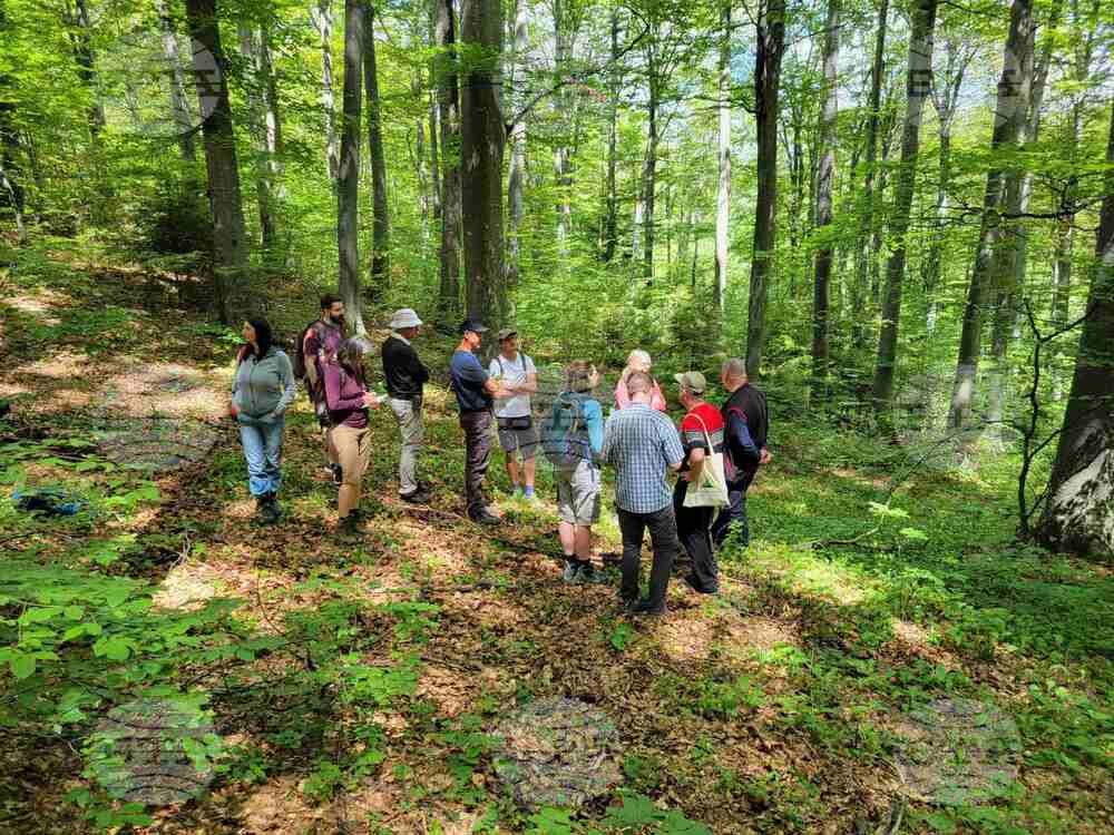 German Scientists Visit Bulgarian State Forestry Farm to Study Climate Change Effects