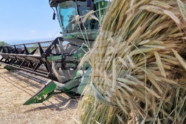  Село Златитрап - жътвена кампания 2024 - откриване