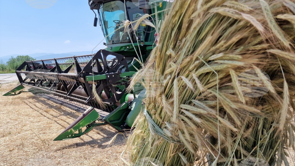  Село Златитрап - жътвена кампания 2024 - откриване