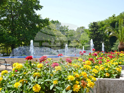 Снимка: Община Варна