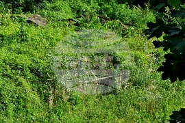 Вършец - парк - наводнение - щети