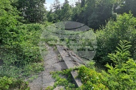 Вършец - парк - наводнение - щети