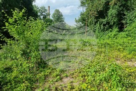 Вършец - парк - наводнение - щети