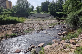 Вършец - парк - наводнение - щети