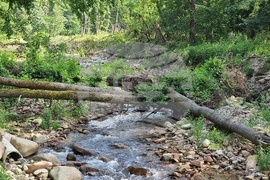 Вършец - парк - наводнение - щети