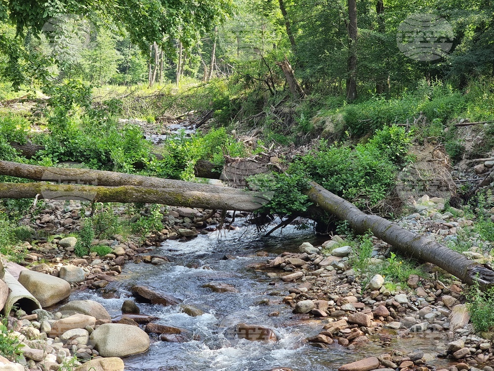 Вършец - парк - наводнение - щети