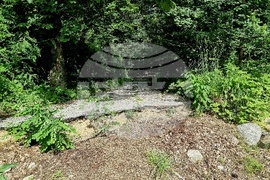 Вършец - парк - наводнение - щети