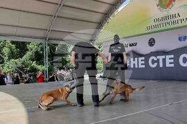 Димитровград - антидрога - кампания